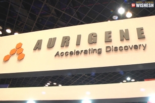 Aurigene, Curis To Conduct Phase 2 Trial On Cancer Drug