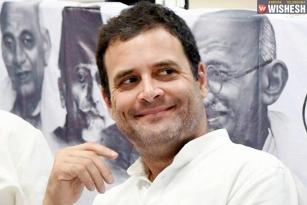 Rahul Gandhi All Set To Turn Congress Chief
