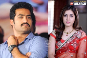 Rashi Khanna Roped in for NTR&rsquo;s Upcoming Flick