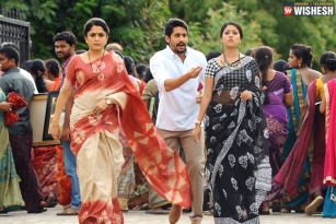 Shailaja Reddy Alludu First Week Collections