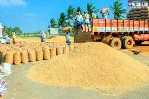 Demand For Telangana Paddy