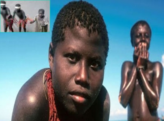 Half naked dances by tribal women in Andaman irk Centre