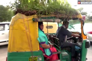 To beat the heat, Delhi driver grows a garden on his Auto