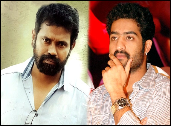 Jr NTR in dilemma over next with Sukumar