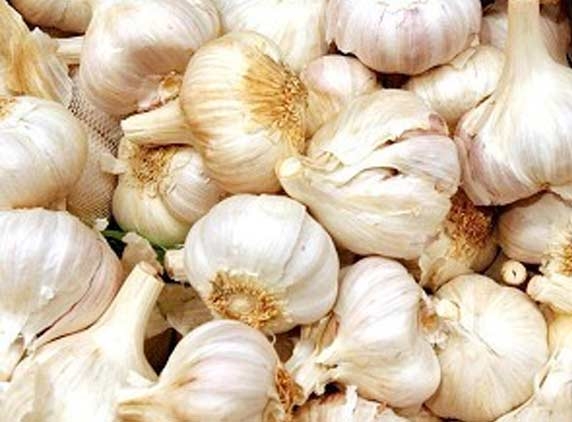 Ingredient in garlic 100 times effective than antibiotics