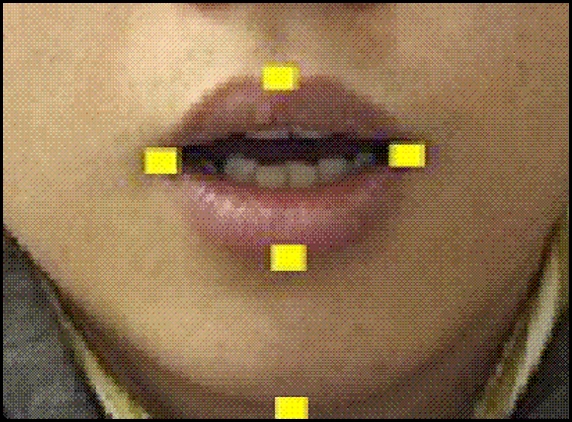 Lip movements as your new password