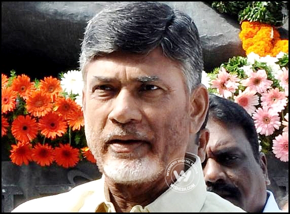 Chandrababu, TDP completes one month