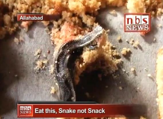 Eat a Snake in a birthday Cake - Dead Cobra in a cake