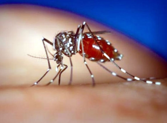 Dengue rampant in AP, another death recorded