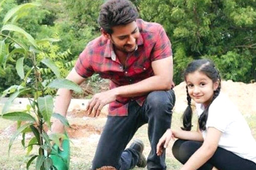 mahesh babu participates in haritha haram challenge