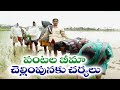 govt steps for payment of crop insurance