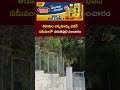 a leopard spotted at annamayya bhavan in tirumala ntv telugu