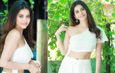 Nabha-Natesh-New-PhotoShoot-05