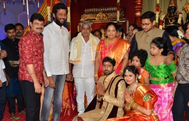 Celebs-At-Boyapati-Srinu-Brother-Daughter-Wedding-09