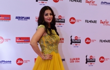 Celebs-at-65th-Jio-Filmfare-Awards-South-14