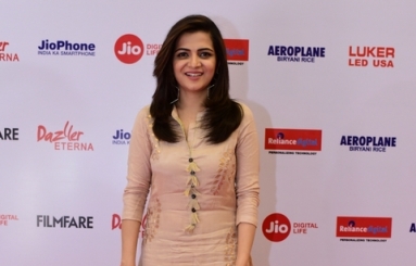 Celebs-at-65th-Jio-Filmfare-Awards-South-15