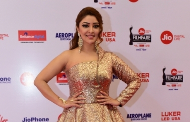 Celebs-at-65th-Jio-Filmfare-Awards-South-19