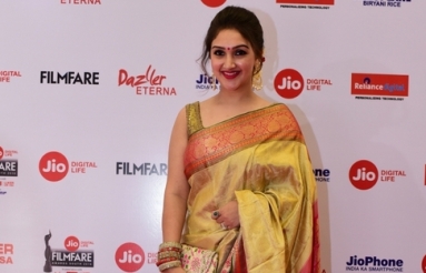 Celebs-at-65th-Jio-Filmfare-Awards-South-26