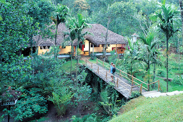Murikkady
