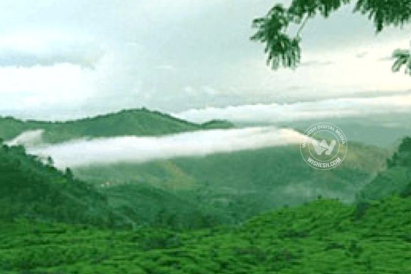 Pullumedu