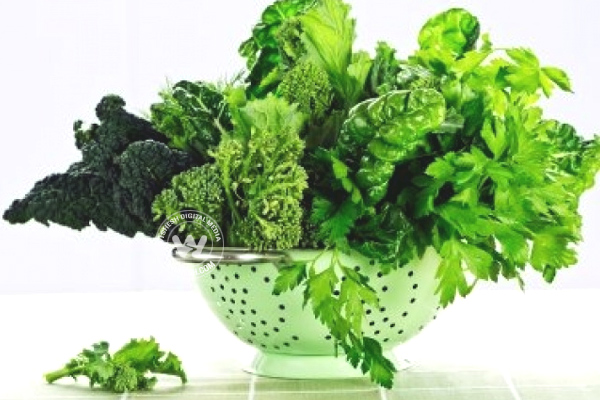 Green Leafy Vegetables