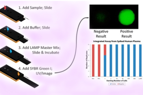 Portable paper machine to detect cancer