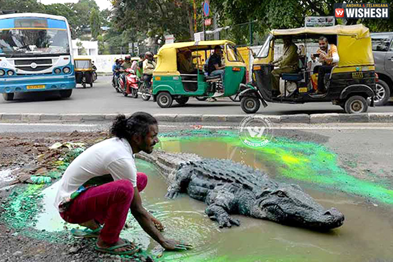 Crocodile on road