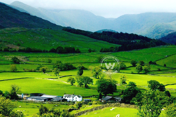 Kodaikanal