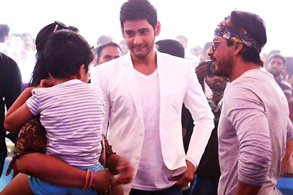 Shahrukh Khan, Mahesh Babu
