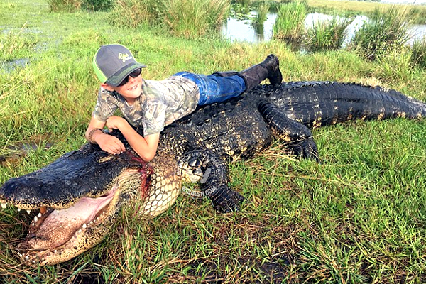 Alligator small boy