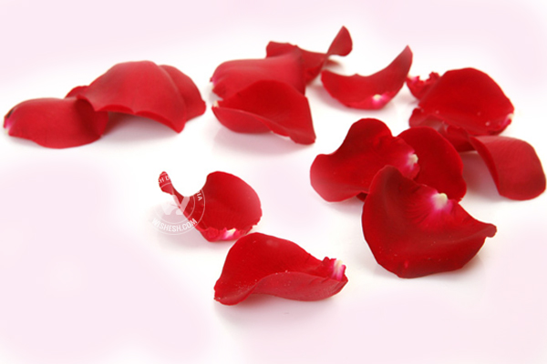 Rose Petals