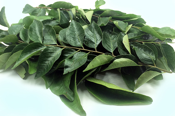 Curry Leaves