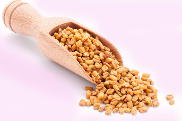Fenugreek Seeds