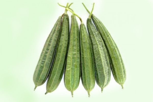 Ridge Gourd