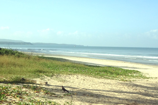 Cavelossim Beach