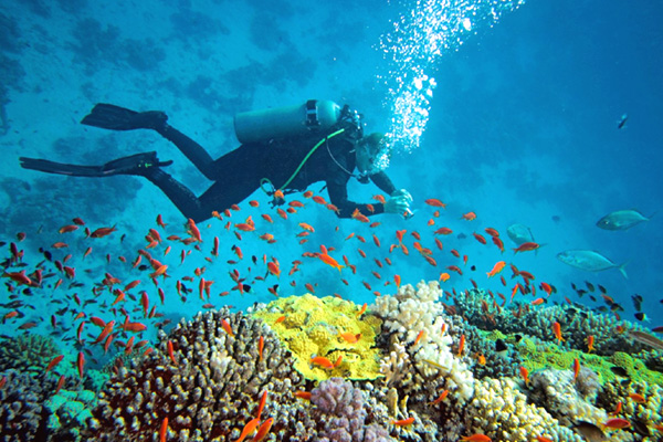 Scuba Diving