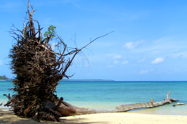 Wandoor Beach