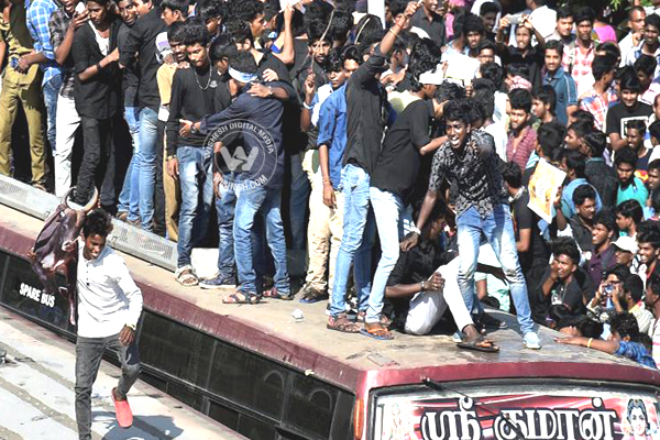 Jallikattu Protest Pics