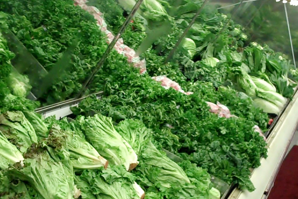 Green Leafy Vegetables