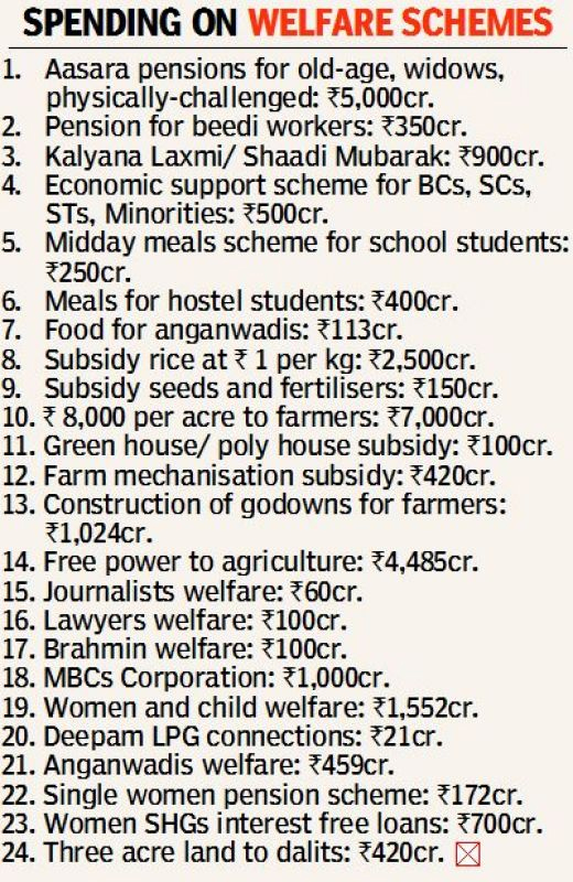 Welfare Schemes of TS Government
