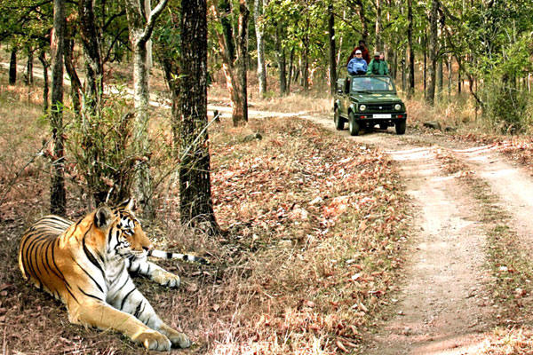 Bandhavgarh Madhya Pradesh