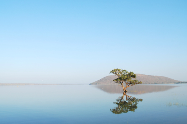 Pakhal Lake