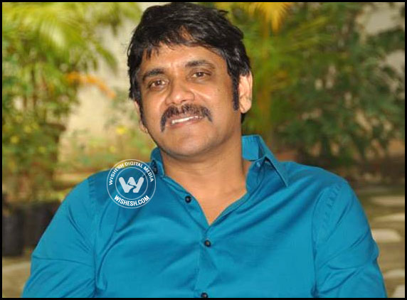 Nagarjuna-Birthday-plans