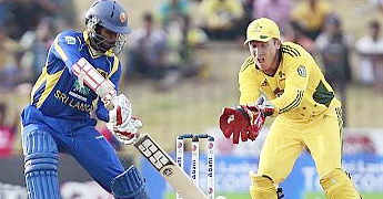 cricket