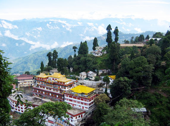 Darjeling-2