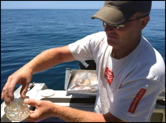 NZ-Fisherman-catches-see-through-water-creature-02