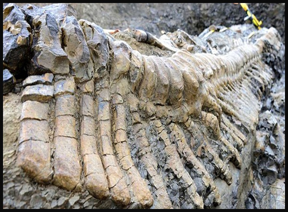 dinosaur-tail1