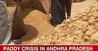 Farmers plan Khariff crop holiday in AP Farmers plan Khariff crop holiday in AP