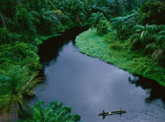 Rain-Forest-9