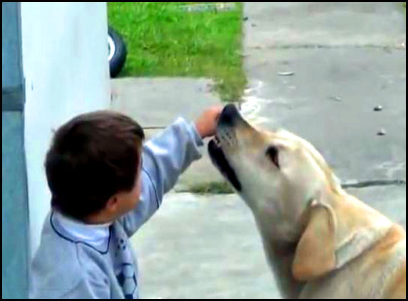 Retarded-boy-with-dog